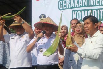 Pemkot Pontianak tanam lidah buaya untuk pengembangan komoditas