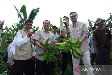 Menhut kunjungi wilayah terpadu perhutanan sosial di Lumajang