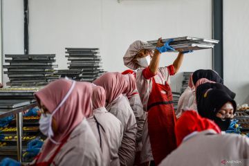 Pemerintah terus tingkatkan produktivitas dan kompetensi tenaga kerja