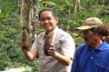 Perhutanan sosial Lumajang layak pasok program makan bergizi gratis