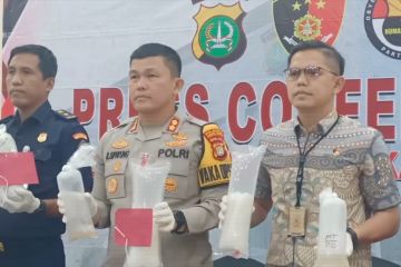 Polisi gagalkan upaya penyelundupan benih lobster Rp3,5 miliar