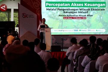 OJK kembangkan ekosistem keuangan hingga digitalisasi nilam Aceh