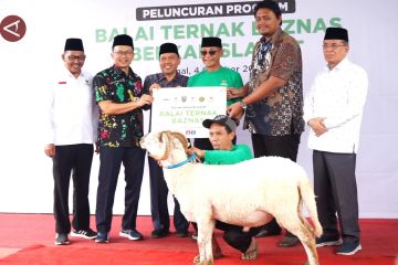 Dukung perekonomian peternak, Baznas luncurkan Balai Ternak di Tegal