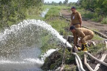 Satgas Karhutla Kalsel berhasil atasi 400 hektare lahan terbakar