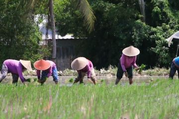 Pemprov NTB minta Bulog bermitra dengan BumDes serap gabah petani