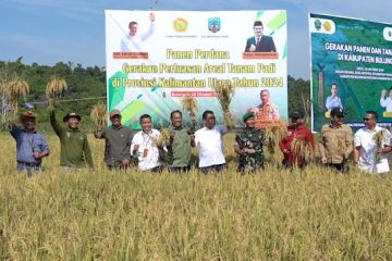 Gerakan panen padi Kaltara tingkatkan perekonomian petani lokal