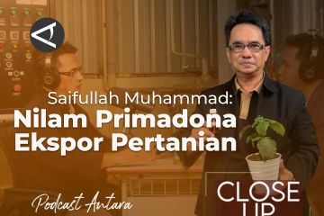 Nilam, potensi ekonomi terbaik sektor pertanian (1)