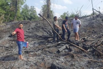 BPBD Pekanbaru padamkan kebakaran lahan 6 hektare akhir Oktober