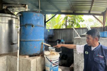 Melirik minyak asiri sebagai peluang usaha menjanjikan dari Ambon