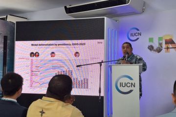 Upaya transisi energi dan keanekaragaman hayati perlu selaras