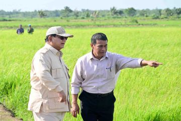 Mentan berikan pendampingan petani dan penerapan mekanisasi di Merauke