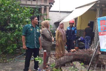 Angin puting beliung rusak tiga rumah di Pulau Lancang