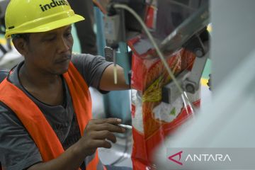 Pemerintah alokasikan anggaran sebesar Rp139,4 triliun untuk dukung swasembada pangan 2025