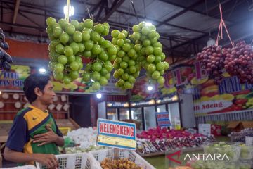 Tidak ditemukan residu pestisida pada anggur Shine Muscat
