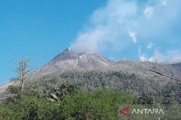 Mengenal Gunung Lewotobi dan catatan letusannya