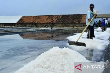 Petani garam Madura kirim surat pada Presiden terkait persoalan garam