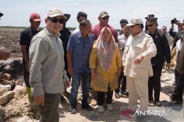 Pemerintah didorong manfaatkan lahan terlantar untuk cetak sawah