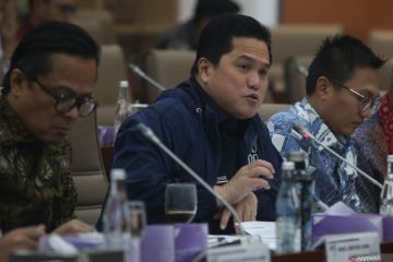 Erick Thohir usulkan merger PTPN dan Perhutani