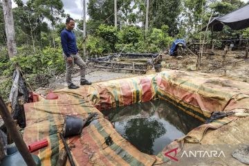 Ratusan hektare lahan di Hutan Harapan beralih fungsi menjadi pertambangan minyak ilegal