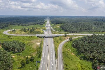 Tol Pekanbaru Dumai miliki lima terowongan khusus gajah