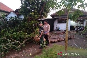 24 rumah warga di Trenggalek rusak diterjang angin puting beliung