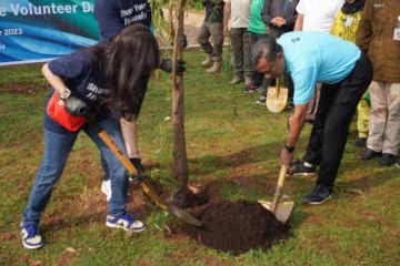 Jaksel tanam 215 pohon setiap bulan untuk penghijauan