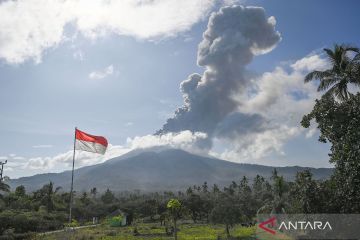 Kolom erupsi Gunung Lewotobi Laki-laki 2.500 meter di atas puncak