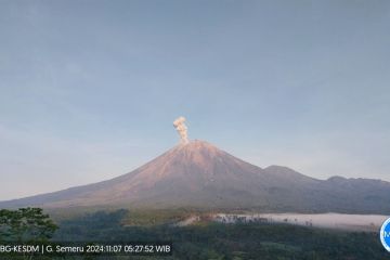 Gunung Semeru beberapa kali erupsi disertai letusan hingga 1 km