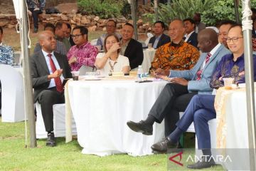 KBRI Pretoria jembatani pelaku usaha ASEAN dan Afrika Selatan