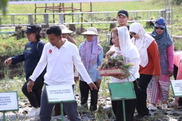 Pemkot Semarang gandeng BRIN panen bawang merah