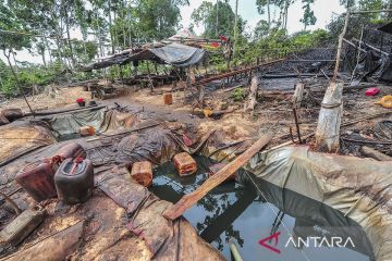 Razia penambangan minyak ilegal di Hutan Harapan