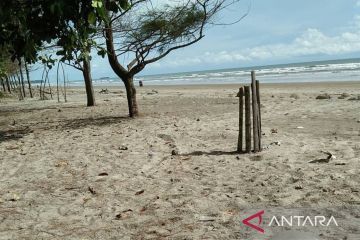 Merintis harapan dalam sekeping Hutan Sambungo