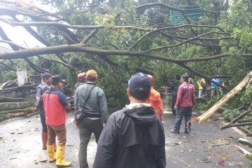 27 bencana terjadi di Cimahi akibat hujan deras & angin, enam terluka