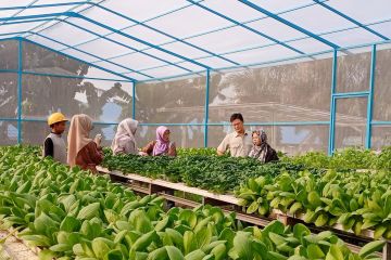 Produsen kertas ciptakan kreativitas kelengkapan "greenhouse"