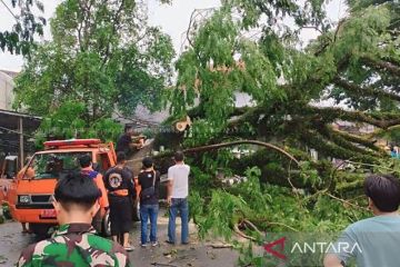 Cuaca ekstrem, 66 rumah rusak di Lebak akibat diterjang angin kencang