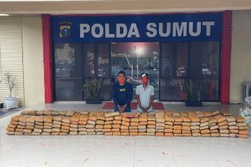 Polda Sumut tangkap terduga pemilik 272 kilogram ganja dari Aceh 