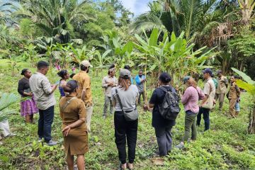 WWF Indonesia-masyarakat adat Sereh bersinergi jaga pangan lokal Papua