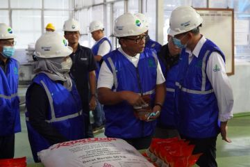 ID FOOD siapkan terobosan untuk sukseskan swasembada pangan di 2025