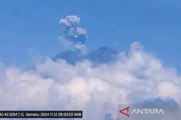 Gunung Semeru alami lima kali erupsi pada Selasa pagi