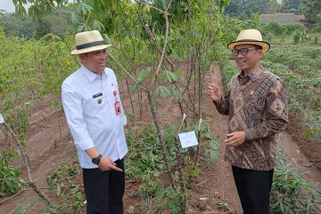 Mendes jadikan desa di Tangerang proyek percontohan agrowisata