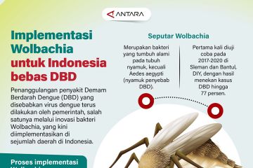 Implementasi Wolbachia untuk Indonesia bebas DBD