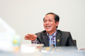 Indonesia satu-satunya yang laksanakan artikel 6.2 perdagangan karbon