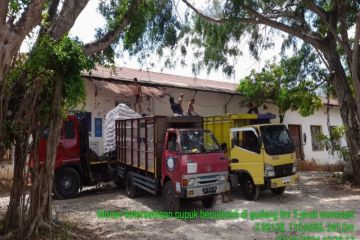 Pemkab Gunungkidul catat serapan pupuk bersubsidi urea 7.434,04 ton