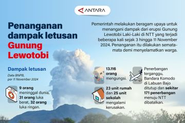 Penanganan dampak letusan Gunung Lewotobi