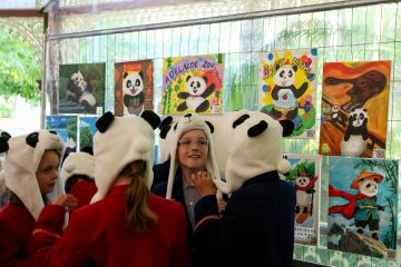 Panda raksasa Wang Wang, Fu Ni tinggalkan Australia, pulang ke China