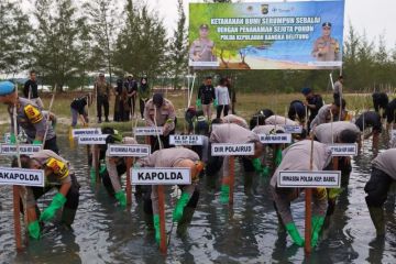 Polda Babel hijaukan 306 hektare lahan kritis bekas tambang