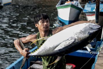 Indonesia bidik investasi 600 miliar dolar AS dorong industri hilir