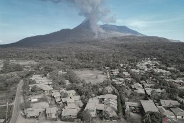 Bangkit mandiri para pengungsi erupsi Gunung Lewotobi