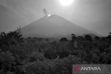 Gunung Semeru beberapa kali erupsi pada Sabtu pagi