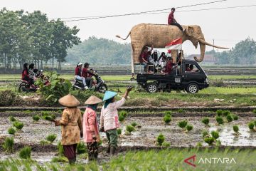 Festival Jerami Purba menghadirkan replika binatang purbakala di Sragen